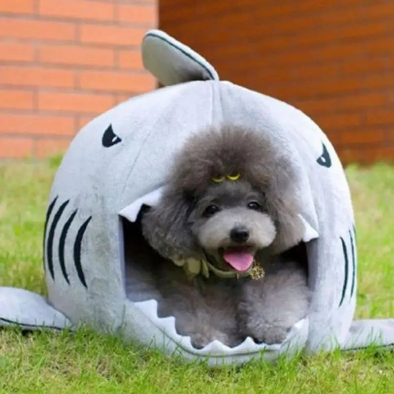 Shark Dog Beds